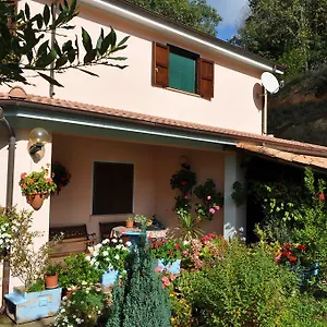 Mattalè Tonara
